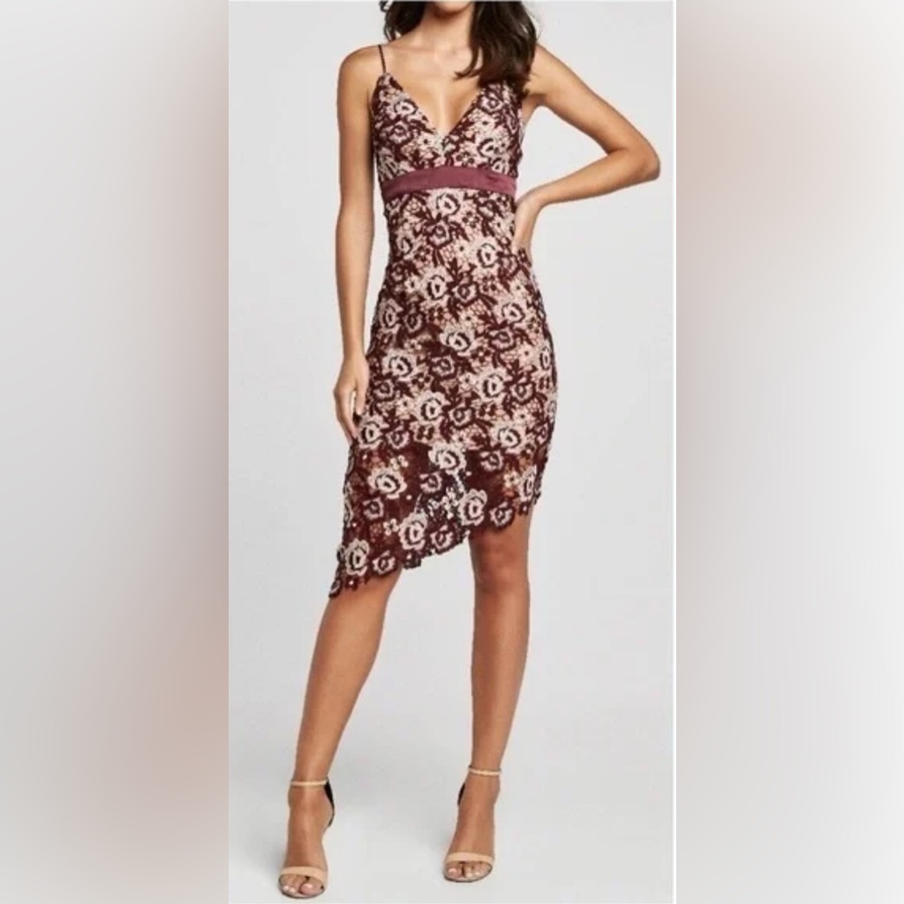 Bardot Maroon Pink Dalia Floral Lace Dress